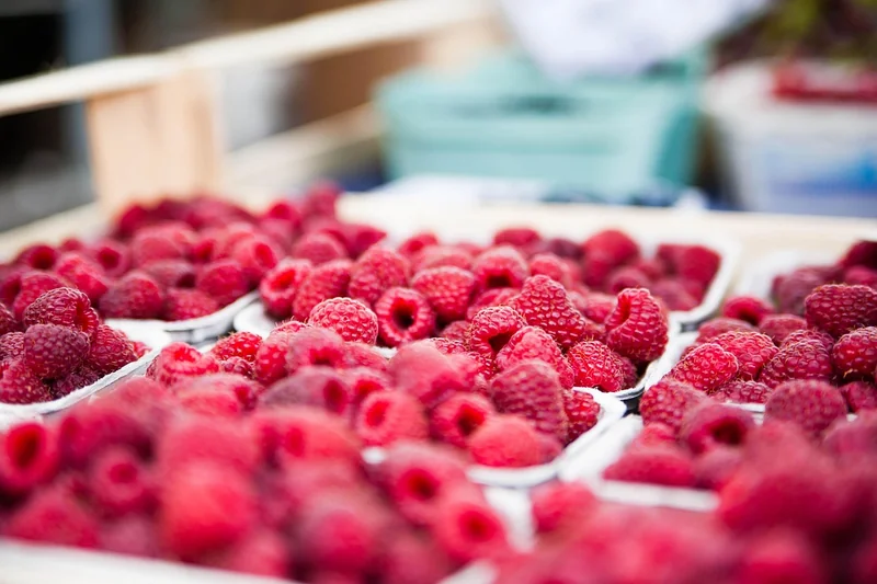 Compétitivité sur le marché : survivre dans un monde qui bouge vite